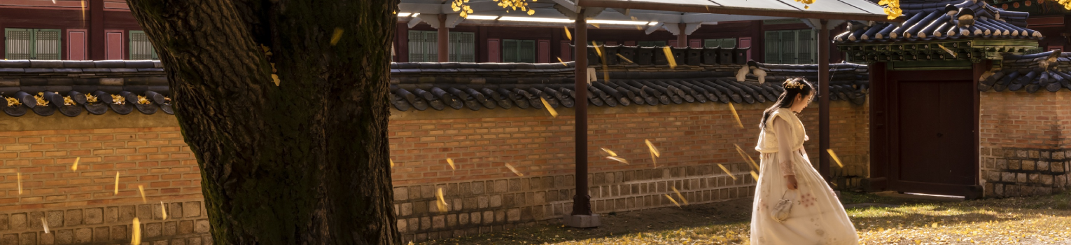 Seed Program for Korean Studies